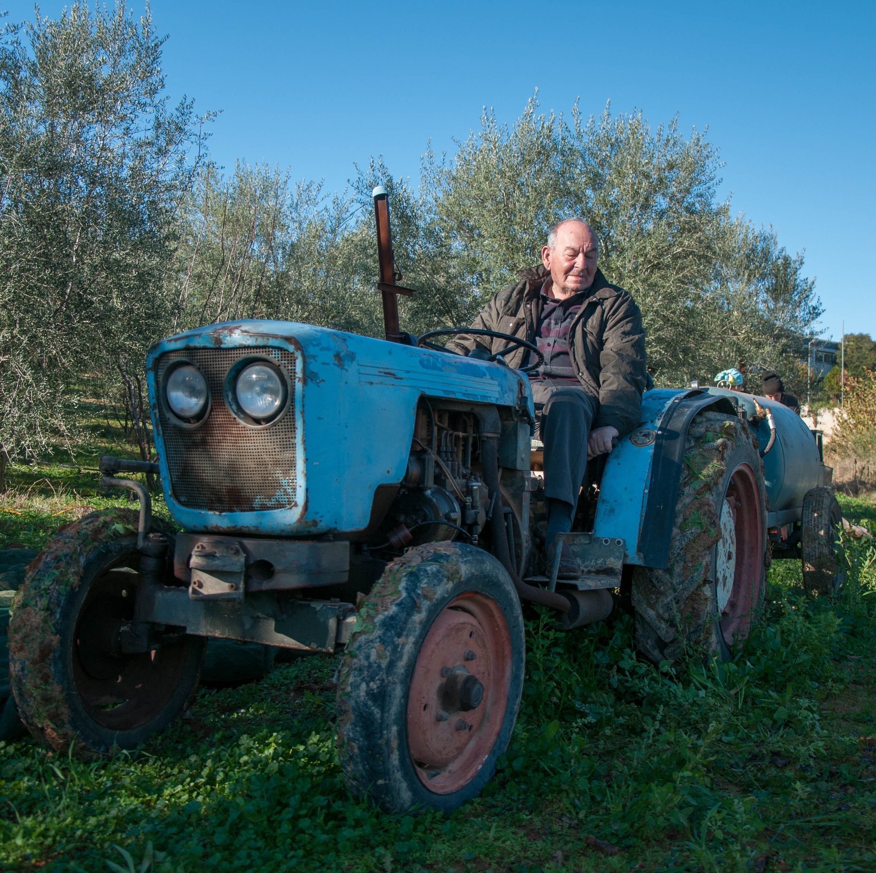 Mr. Papou's Authentic Extra Virgin Olive Oil